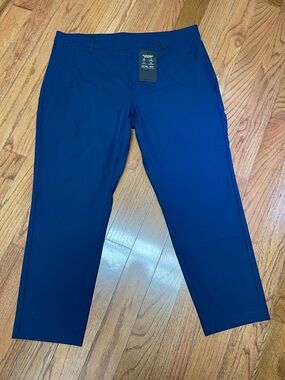 Fabletics Men’s The Don Classic Fit Navy Blue Chino Stretch Pants Size 38x30 NWT